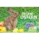 625007_COV-Ostern25 Osterkarte der Österreichischen Post: Hase auf Wiese mit Eiern und Blumen, Text 'Frohe Ostern', inkl. Briefmarken und Postkarten.