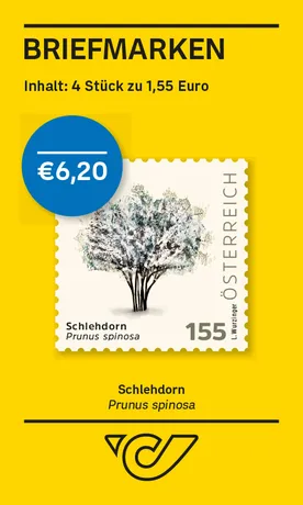 Schlehdorn – Prunus spinosa