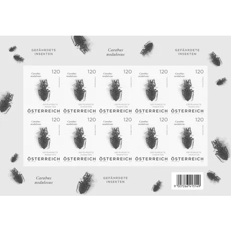 Briefmarkenblock Österreich 2023, Nominale 1,20 €: 'Gefährdete Insekten' mit Design des Käfers Carabus nodulosus.
