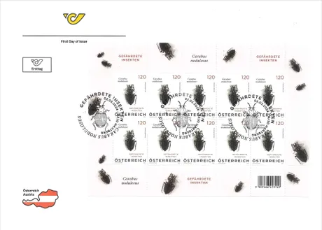 FDC-KB_Käfer_0324 FDC-KB_Käfer_0324