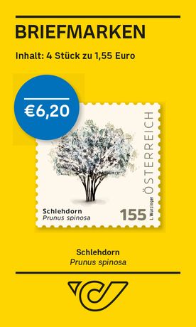 Schlehdorn – Prunus spinosa