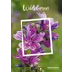 125603_ME20_Wildblumen_Cover_fW_shop Briefmarkenbogen der Österreichischen Post mit violetten Wildblumen, Titel 'Wildblumen', 20 Briefmarken.