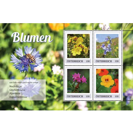 Briefmarken Österreich 2023, Nominale 1,00 €: Blumen - Nachtkerze, Glockenblume, Alpenrose, Kapuzinerkresse.