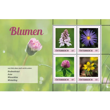 Briefmarken Österreich 2023, Nominale 0,85 €: Blumen - Knabenkraut, Aster, Wiesenklee und Winterling.