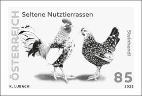 &quot;Steinhendl&quot; Black Print