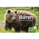 Bears – rescued and protected Brown bear standing in meadow with flowers, text “Bears – rescued and protected”, note about stamps and postcards