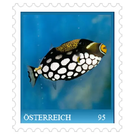 08430f01487a681f82706bfb68f60db0eb65c772.png Briefmarke Österreich 95 Cent: Clown-Drückerfisch auf blauem Hintergrund, herausgegeben von der Österreichischen Post.