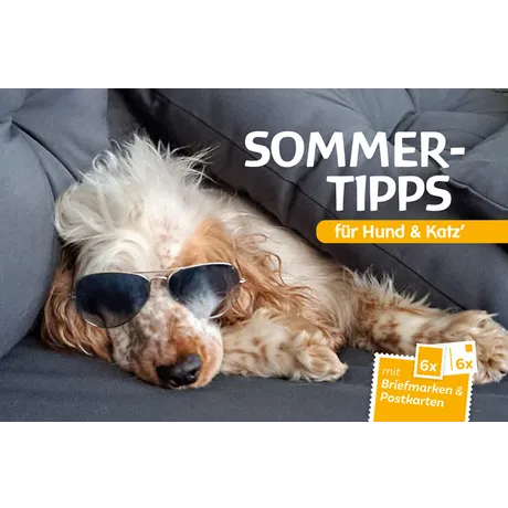 624014_COV-SoTipp24 Hund mit Sonnenbrille auf einer Couch, Text: 'Sommer-Tipps für Hund & Katz' und '6x Briefmarken & Postkarten' von der Österreichischen Post.