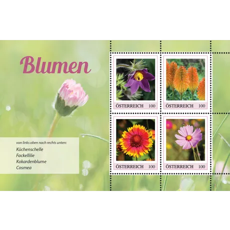 Austrian Post 2023 stamp set &#039;Flowers&#039;, 1.00 Euro each: Pasque flower, Red hot poker, Blanket flower, Cosmos.