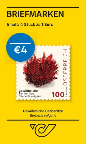 100_Berberitze_BMS4