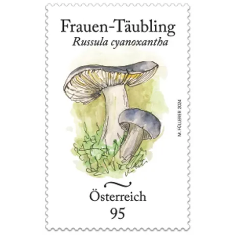 Briefmarke Österreich 2024, Nominale 0,95 Euro: Illustration von Frauen-Täublingen (Russula cyanoxantha) auf weißem Hintergrund.