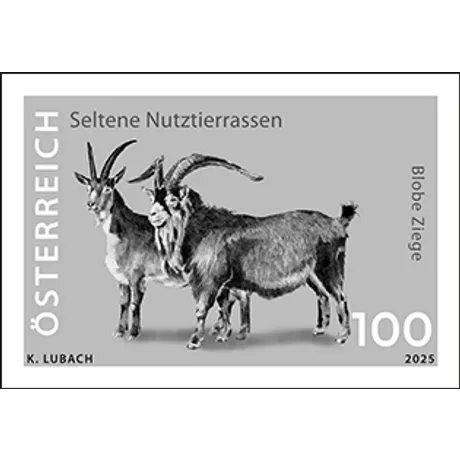 SD_Blobe Ziege_0525 Austrian stamp 2025, nominal value 1.00 Euro: Rare livestock breeds, featuring two Blobe goats in black and white.