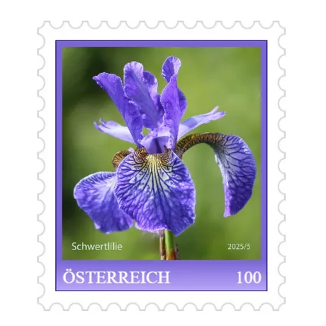 Briefmarke Österreich 2025, Nominale 1,00 Euro: Lila Schwertlilie vor grünem Hintergrund.