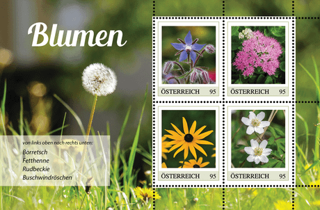 ME4_Blumen_07.24