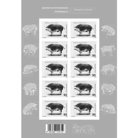 Briefmarkenbogen Österreich 2024, Nominale 0,95 Euro: Seltene Nutztierrassen, Motiv Mangaliza-Schwein.
