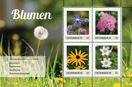 ME4_Blumen_07.24
