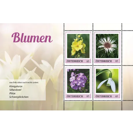 Austrian Post 2023 stamp series 'Flowers', 0.85€ each: Mullein, Silver Thistle, Phlox, Snowdrop.