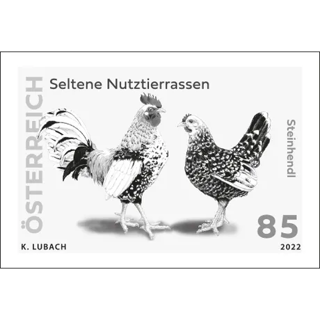 6c6c62649a1b66e666ceb415db009a4dbd4dac2d.jpg Austrian stamp 2022, denomination 0.85 euros: Rare livestock breeds, Steinhenne rooster and hen illustration.