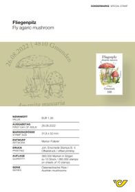 &quot;Fly Agaric Mushroom&quot; Explanatory Sheet