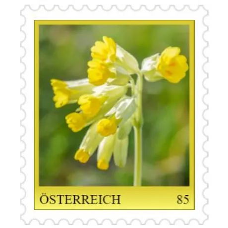 d5460c7d50d07df9672ecf3b4c383770ccb68c7b.jpg Briefmarke Österreich 2023, Nominale 0,85 Euro: Motiv einer gelben Schlüsselblume auf grünem Hintergrund.