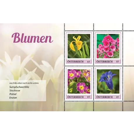 Briefmarken Österreich 2023, Nominale 0,85 Euro: Sumpfschwertlilie, Stockrose, Primel und Enzian als Blumenmotive.