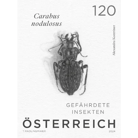 Austrian stamp 2024, nominal value 1.20 Euro: endangered insect Carabus nodulosus, black illustration.