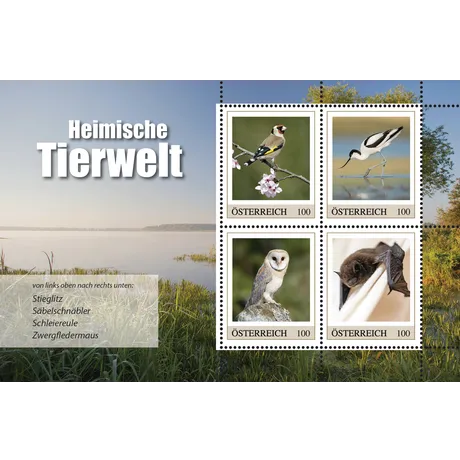 Briefmarkenblock Österreich 2023, Serie 'Heimische Tierwelt', €1,00 Briefmarken mit Stieglitz, Säbelschnäbler, Schleiereule und Zwergfledermaus.