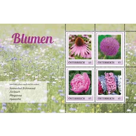 Briefmarkenblock Österreich 2023, Nominale 0,85 €: Blumen - Sonnenhut, Zierlauch, Pfingstrose und Hyazinthe vor Blumenwiese.