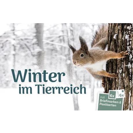 Winter-Set der Österreichischen Post: Eichhörnchen am Baum, 'Winter im Tierreich', mit Briefmarken und Postkarten.
