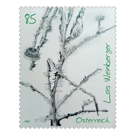 Austrian stamp 2022, nominal value 0.85 euros: botanical drawing of a thistle by Lois Weinberger.