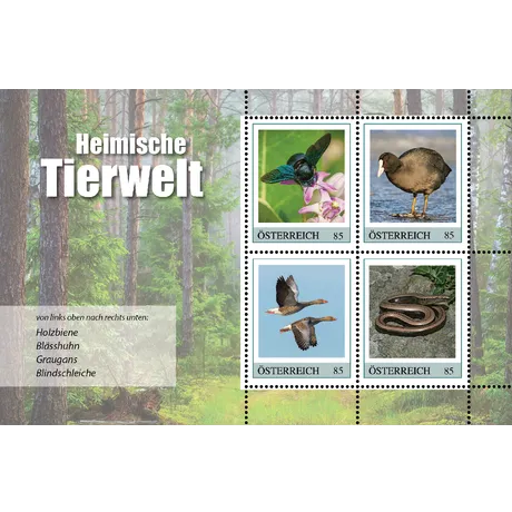 Briefmarken Österreich 2023, Nominale 0,85 €: Heimische Tierwelt - Holzbiene, Blässhuhn, Graugans, Blindschleiche.