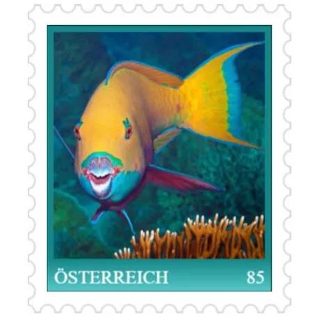 Briefmarke Österreich 2023, Nominale 0,85 Euro: Bunter Fisch im Korallenriff, türkisfarbener Rand.