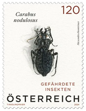 Austrian stamp 2024, nominal value 1.20 euros: Carabus nodulosus beetle, endangered insects series.