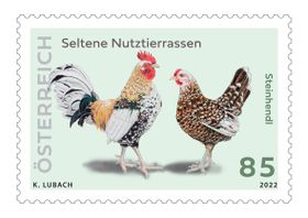 &quot;Steinhendl&quot; 0,85 Special Stamp