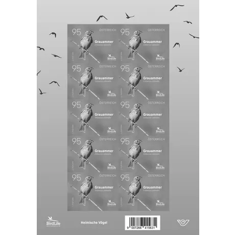 Austrian Post stamp sheet 2024, 0.95 Euro: Corn Bunting (Emberiza calandra), part of 'Native Birds' series.
