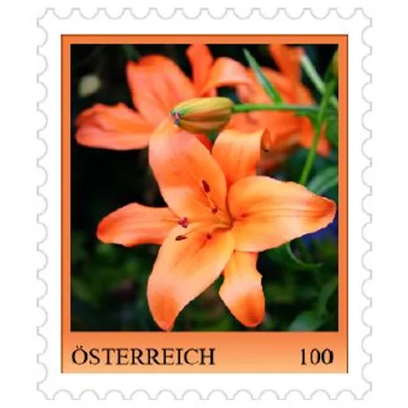 Briefmarke Österreich 1,00 Euro: Orangefarbene Lilie auf grünem Hintergrund, herausgegeben in Österreich.
