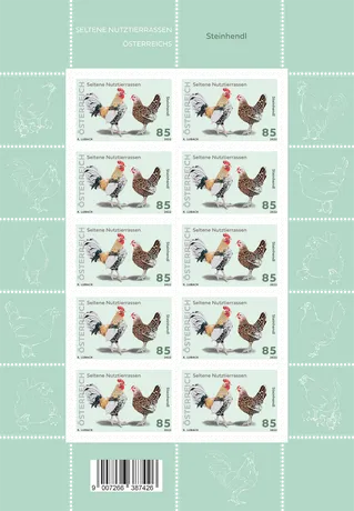 5281540d95a5e7e83ed36ddad25639e38840dc3a.png Briefmarkenblock Österreich 2022, 0,85 €: Seltene Nutztierrassen, Steinhendl Hahn und Henne auf grünem Hintergrund.