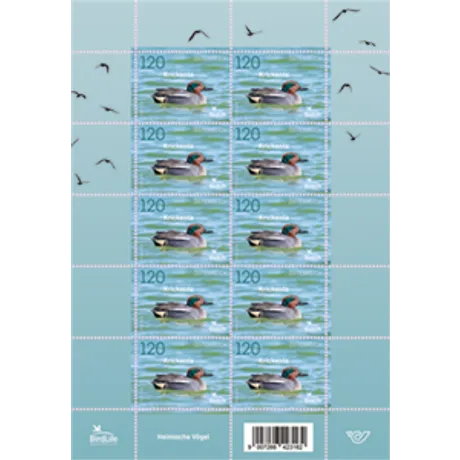 225710-Krickente-ONLINESHOP Briefmarkenbogen Österreich 2023, Nominale 1,20 €: Mandarinente auf Wasser, Titel 'Heimische Vögel'.
