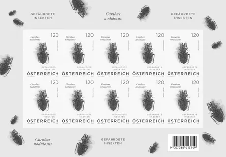 Austrian Post stamp sheet 2023, €1.20: 'Endangered Insects' featuring Carabus nodulosus beetle design.