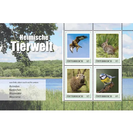 b2a90d623092e2348a145eed49caed8ec681d04e.jpg Austrian Post stamp sheet 2023, 'Native Wildlife' series, €0.85 stamps featuring red kite, rabbit, muskrat, and blue tit.
