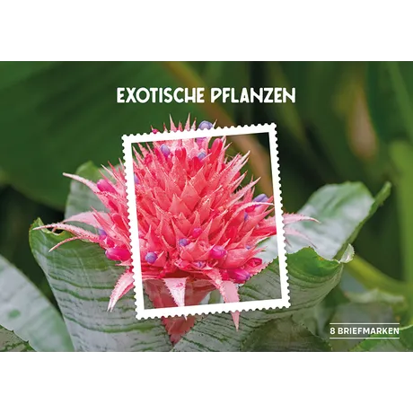 124623 Austrian Post stamp series 'Exotic Plants' featuring a pink tropical flower. Includes 8 stamps.