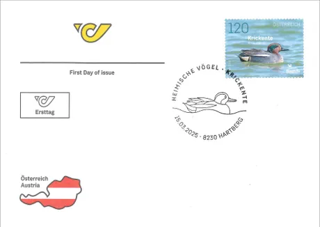 FDC_Krickente_0325