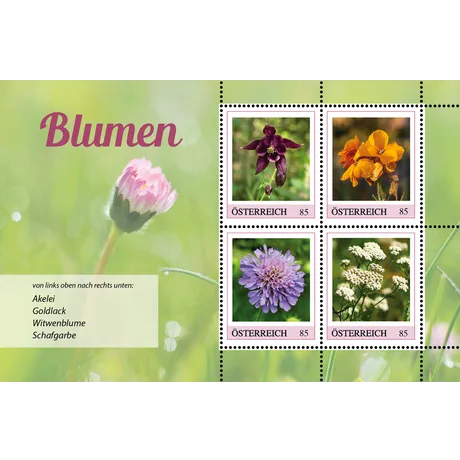 acf396aead9f8dfc3cafeeda2e7d1e5be594b041.png Austrian Post 2023 stamp set 'Flowers', 0.85€ each: Columbine, Wallflower, Scabiosa, Yarrow. Green background.