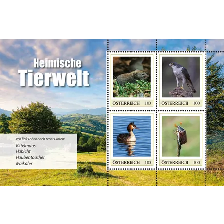 Briefmarken Österreich 2023 'Heimische Tierwelt', Nominale 1,00 €: Rötelmaus, Habicht, Haubentaucher, Maikäfer.