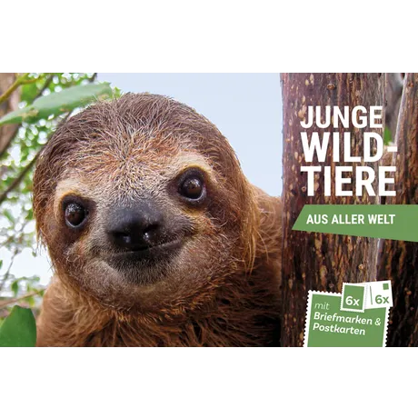 Austrian Post collectible set 'Young Wild Animals Worldwide' featuring a sloth with stamps and postcards.