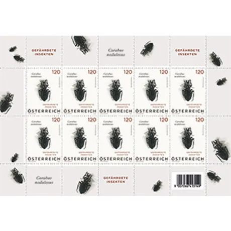 Briefmarkenblock Österreich 2023, Nominale 1,20 €: Gefährdete Insekten mit Illustration des Käfers Carabus nodulosus.