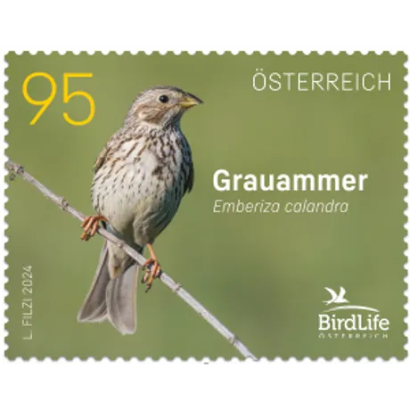Briefmarke Österreich 2024, Nominale 0,95 Euro: Grauammer auf einem Ast, BirdLife Österreich-Logo.