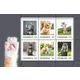 Austrian Post 2023 stamp sheet, 1.00 Euro each, featuring playful kittens in various poses and settings.