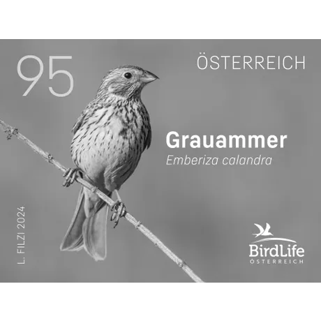Briefmarke Österreich 2024, Nominale 0,95 Euro: Zeigt eine Grauammer (Emberiza calandra) auf einem Ast.