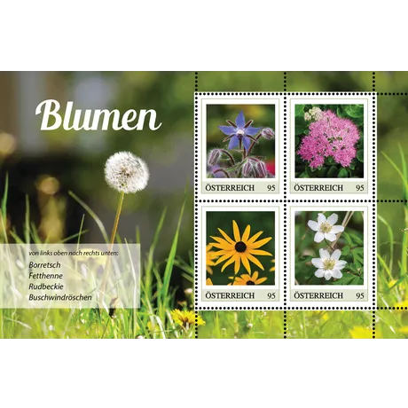ME4_Blumen_07.24 Austrian Post 2023 stamp set, 0.95€ each: Borage, Stonecrop, Black-eyed Susan, and Wood Anemone flowers.
